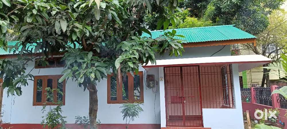 INDEPENDENT ASSAM TYPE HOUSE FOR RENT