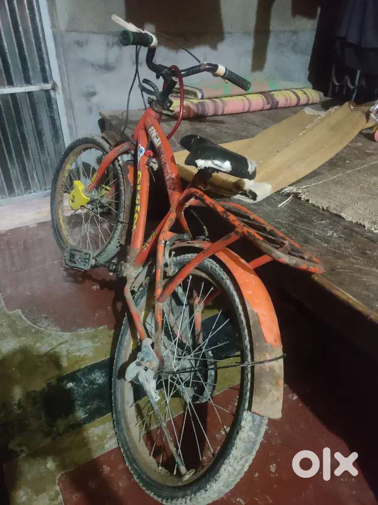 Alvin mango cycle