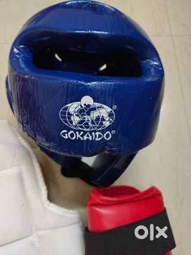 Karate gokaido original kit with two head protection
