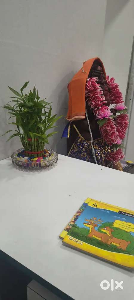 Relationship manager &HR assistant