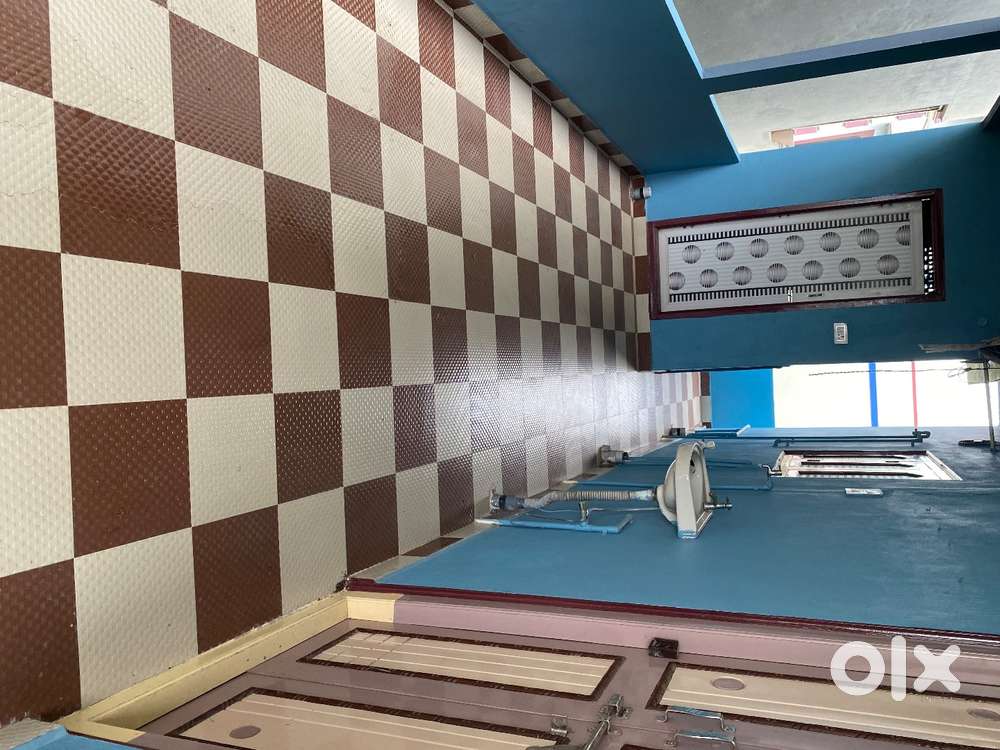 5 years old  with cabourds