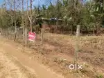 Plot for sale