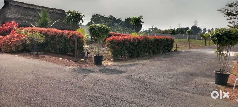 DTCP AND RERA APPROVED PER SQFT ₹1500 2G GOLD COIN OFFER 100% BANKLOAN