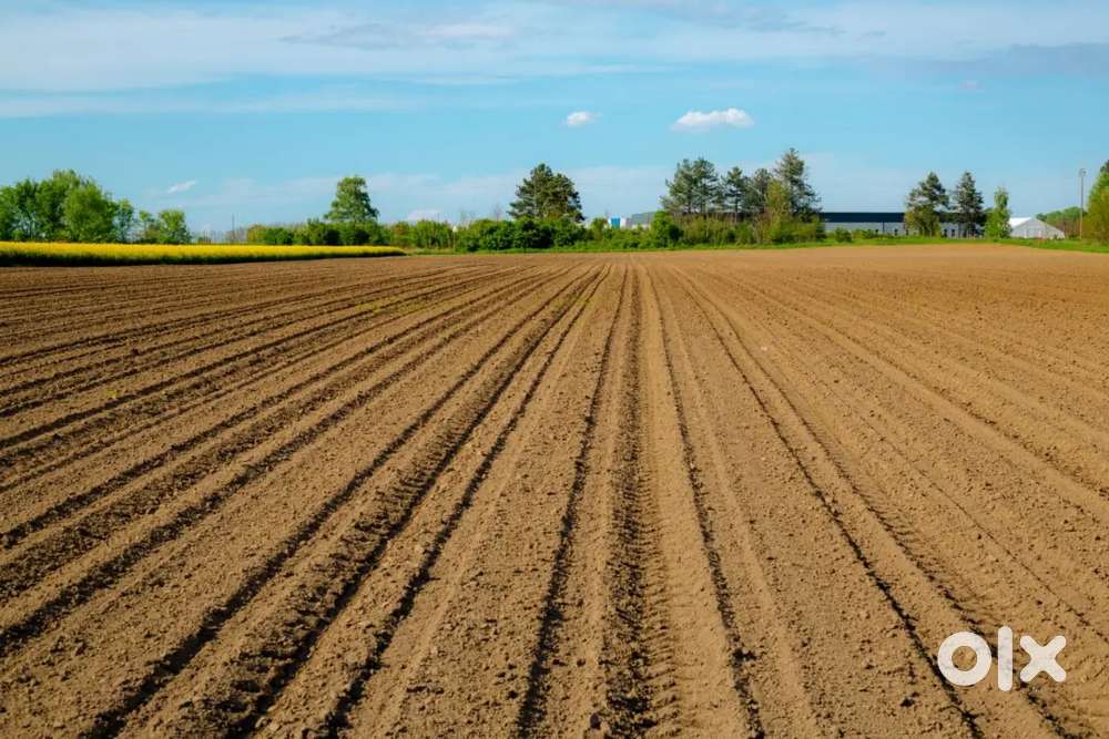 19 Bigah Plain Land Available on KIRATPUR- Manali NH HIGHWAY