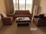 5 seater sofa with center table