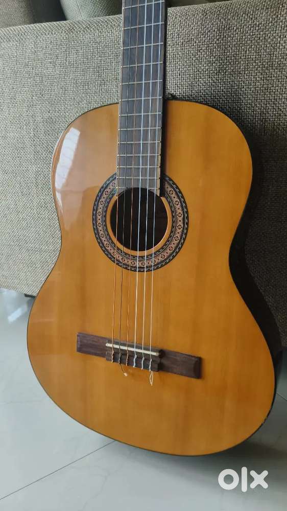 Acoustic guitar