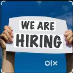 Online jobs data entry work