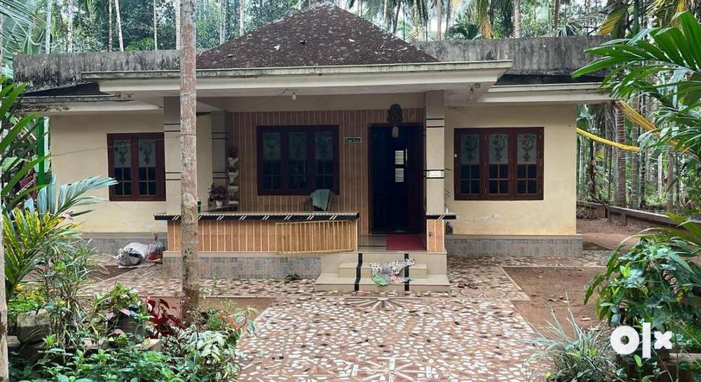 Fully furnished house 25 cent property located in kozhikode kuttiyadi