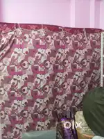 6×6 pepes bed