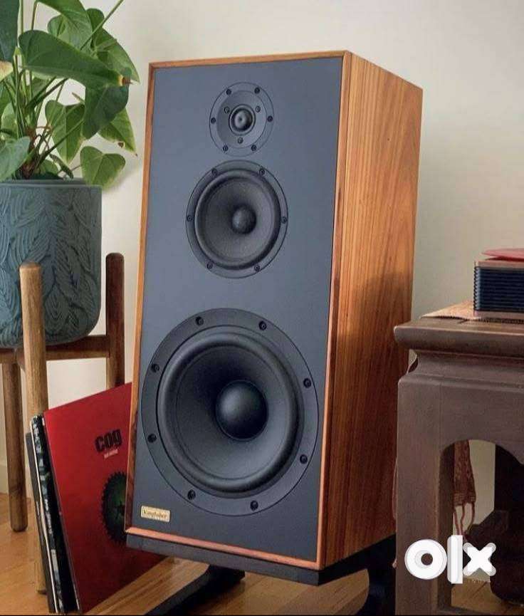 Mahogany, Teak, Green panel MDF speakers***