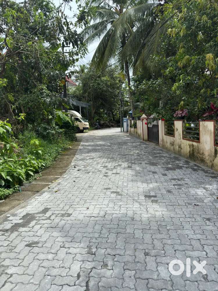 13.67 cent Land for Sale at Chalikkavattom