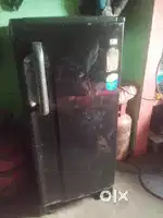 Fridge 6 year old
