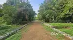 മുരിങ്ങൂരിൽ ഹൗസ് പ്ലോട്ടുകൾ വില്പനയ്ക്ക് നാല് സെൻറ് മുതൽ