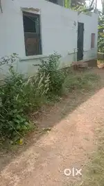 Avinissery house for rent