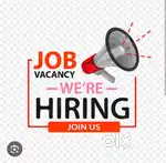 Hiring - Lady staff for accounts and sales at Sulthabathery
