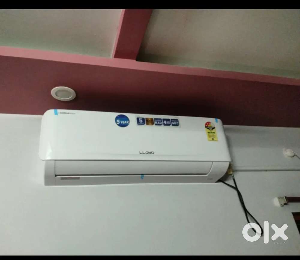 Mujhe Paisa ka kam hai