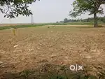 Gorakhapur, gorakhanath mandir se 1.5 km ki duri par RPM school ke pas