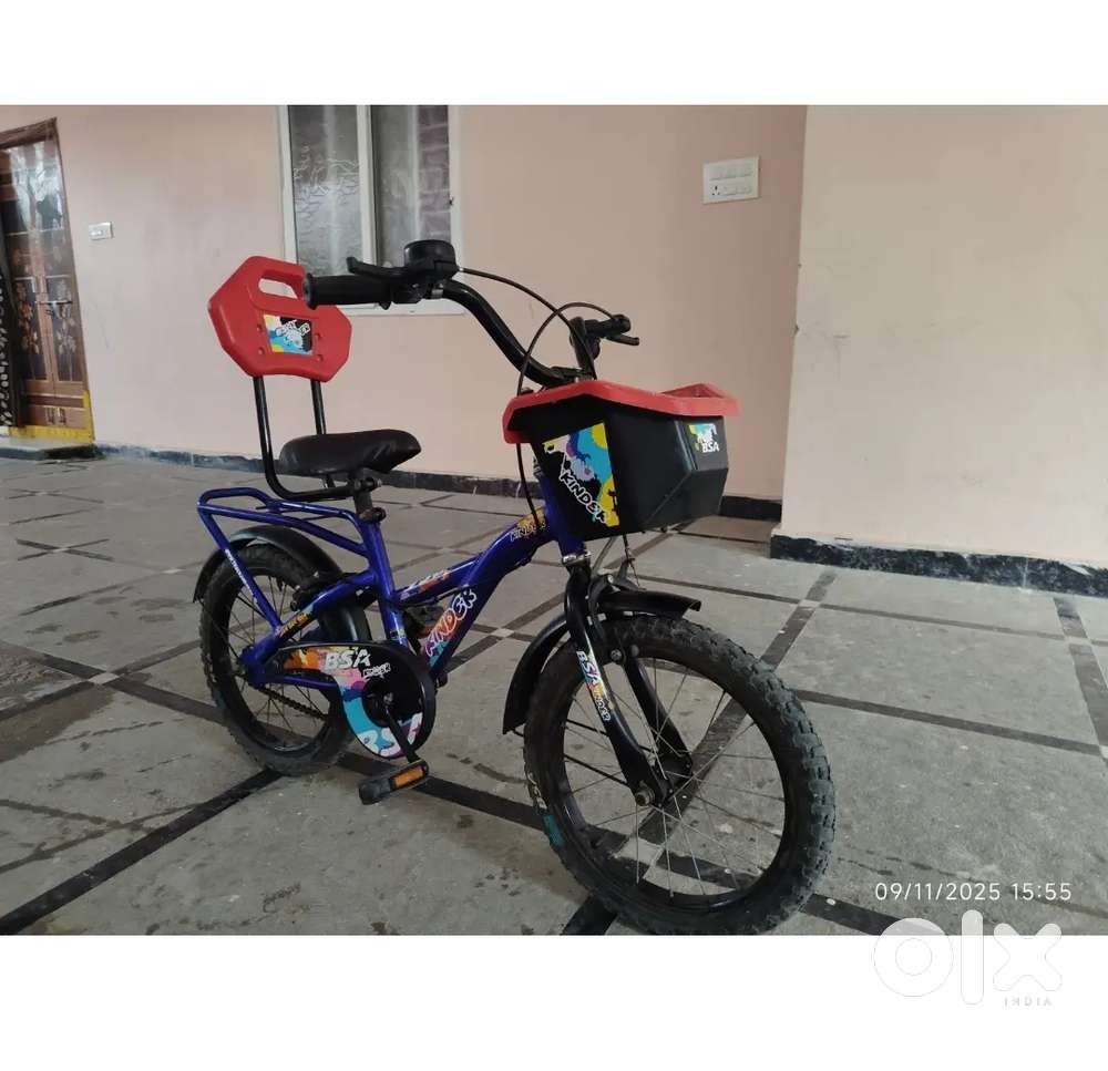 BSA Kids Bicycle 14 inches