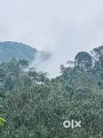 വയനാട് വടുവഞ്ചാൽ  റിസോർട്ടിന് അനുയോജ്യമായ1.50ഏക്കർ സ്ഥലം വില്പനയ്ക്ക്