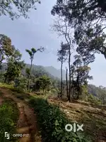 Land for sale in munnar