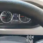 I am a Professional Driver