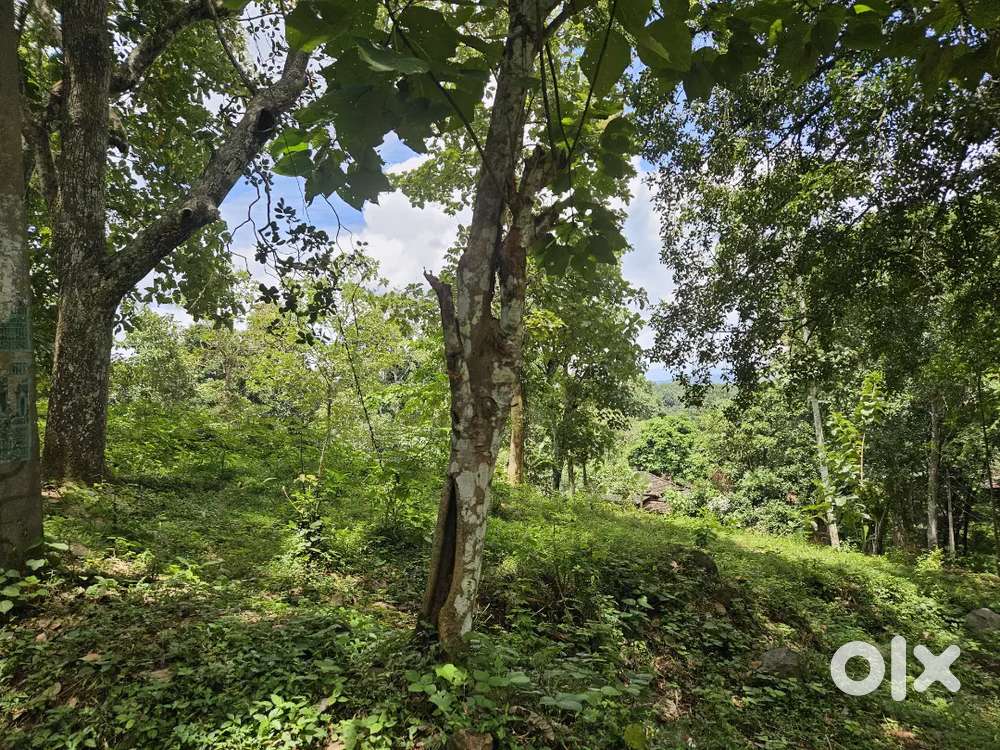 House plot for sale in Poovanmala Mukuzhi road