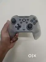 Evofox Elite X Gamepad.