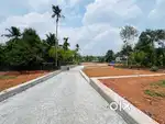 RESIDENTIAL PLOTS NEAR TO INFOPARK KOCHI KAKKANAD