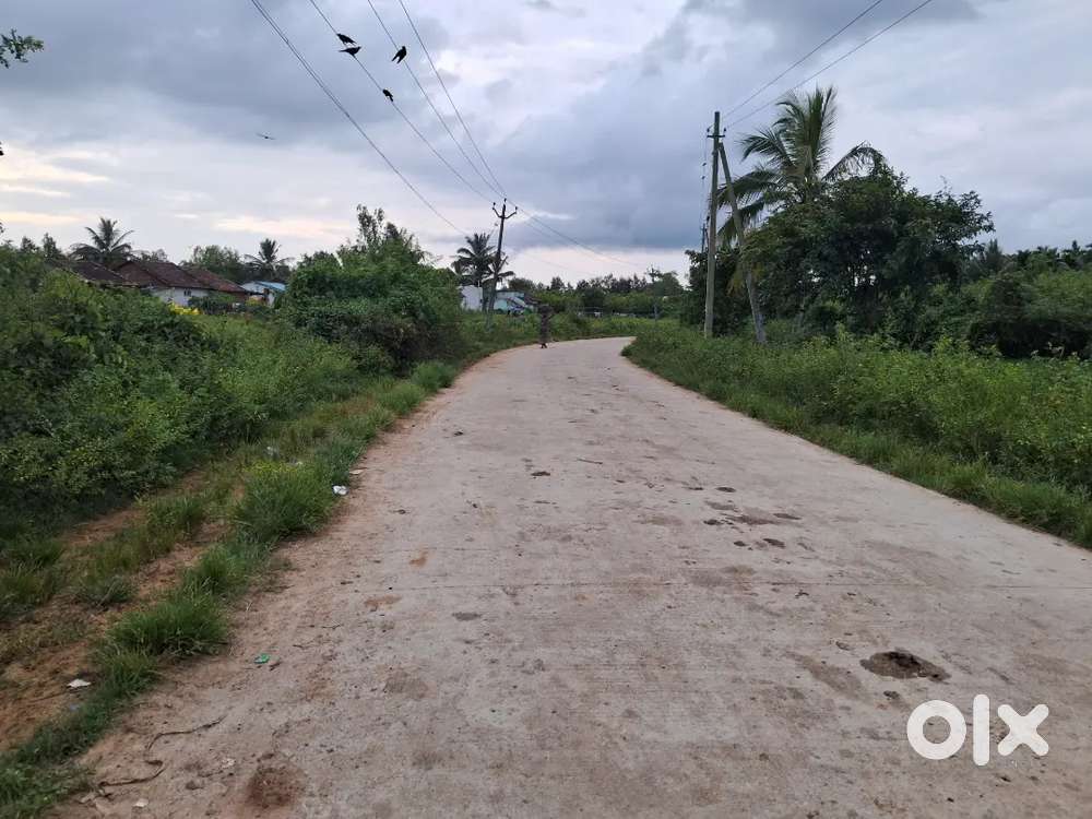 8250 Sqft Plot for Sale Near Muddinakoppa Tree park