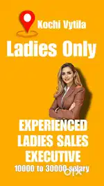 Experience sales executive ladies High Salary