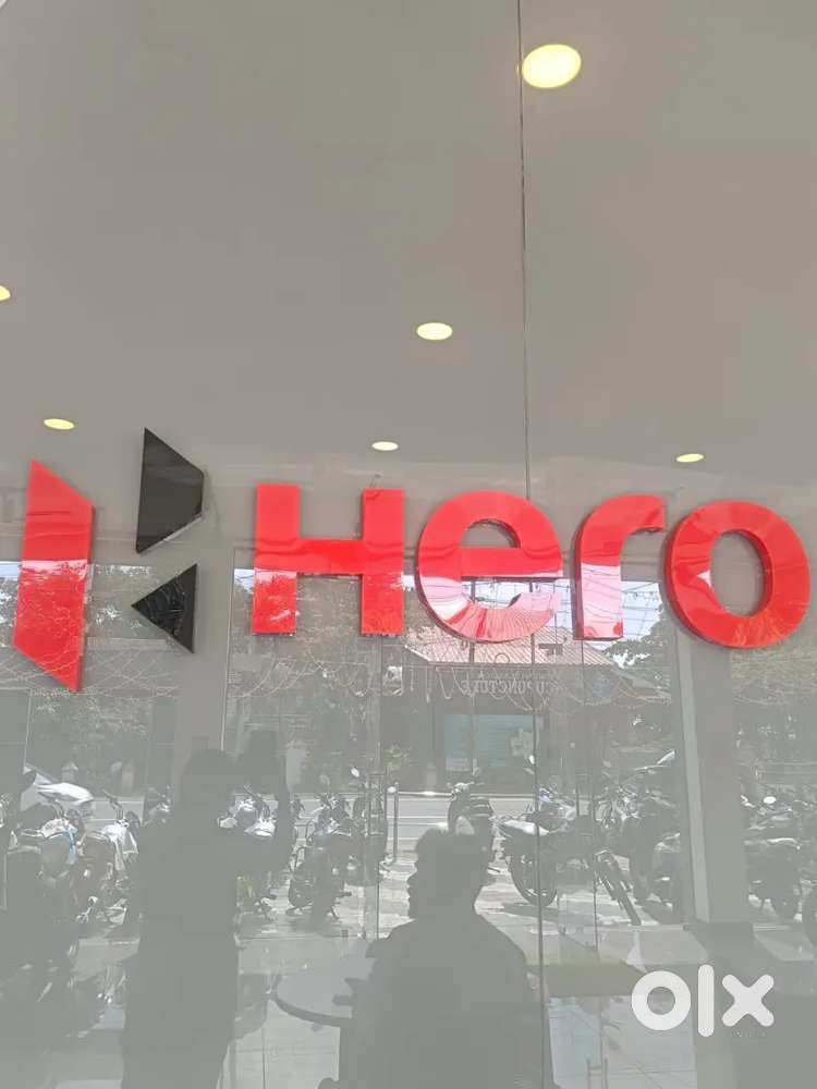 We are hiring urgently