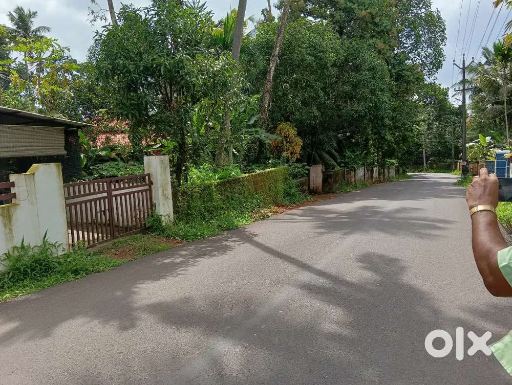 Thiruvanyoor, nadukuriz 20cent land for sale