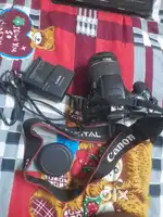 Canon D5500