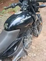 Pulser 125