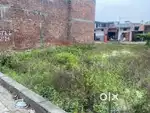 200gaz plot  30by60 ,nai sarai,dhampur