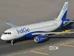 URGENTLY JOB VACANCY IN AIRPORT GROUND STAFF/CABIN CREW APPLY NOW