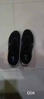 Puma Badminton Non Marking Shoes