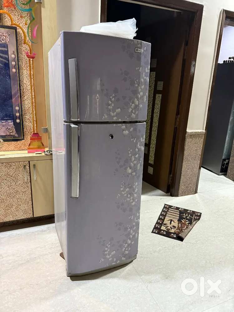 L g freeze