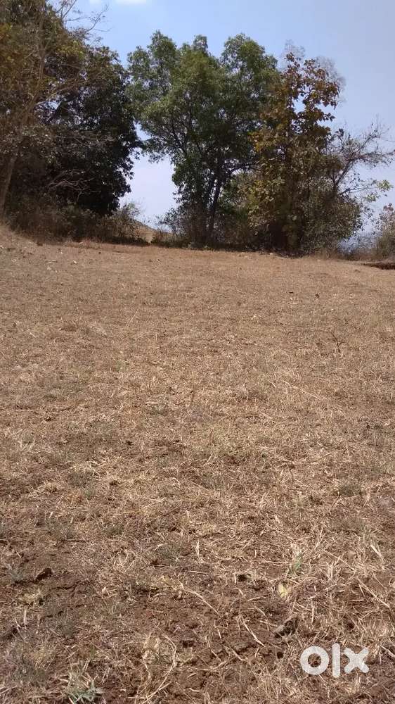 46.66 guntha agri. land with gov. demarcation.