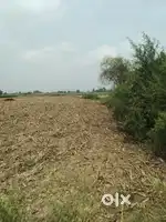Tigai road se Hasnapur Road per Akbarpur rura Road