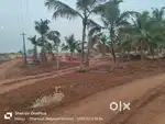 FARM LAND SALE NEAR HOYASAL NAGAR
