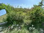 Direct owner plot for sale near DDN Ponta Highway at Central Hope town