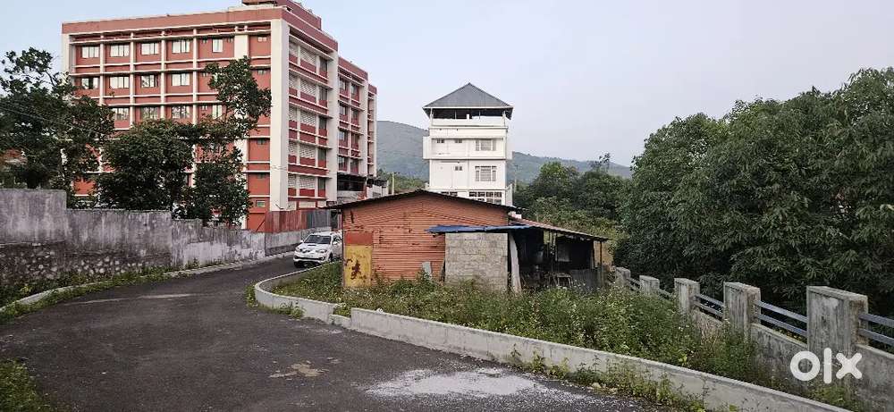 4 cent resort cum house plot behind marian college kuttikkanam 4 lak
