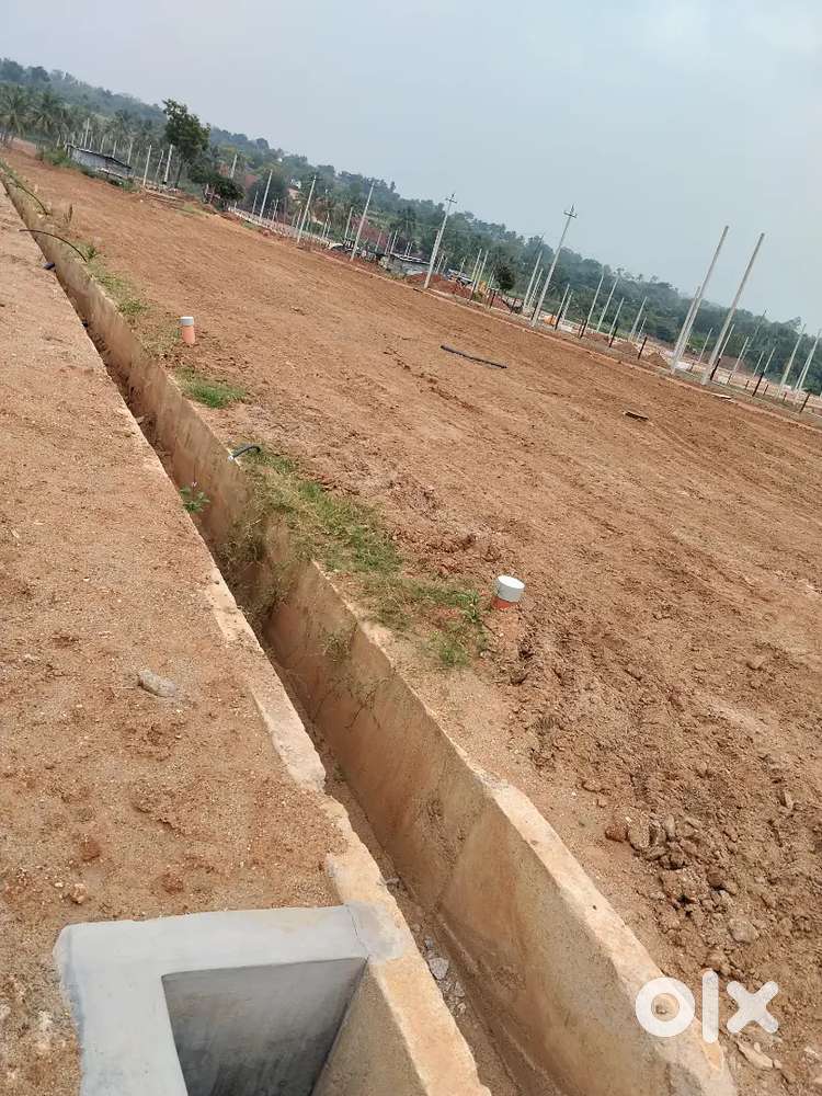 15 kms from Mysore city