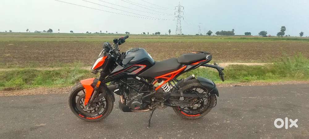 Duke 250 2023 less driven