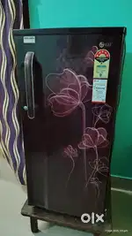 LG fridge 5 star power saving