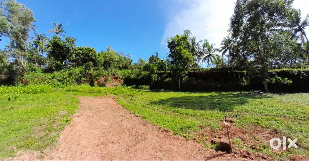 Beautiful house plots 10,11,8 cents in Pinarayi