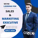 Salea executives