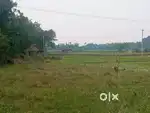 Land  for sale near Kooteripattu junction