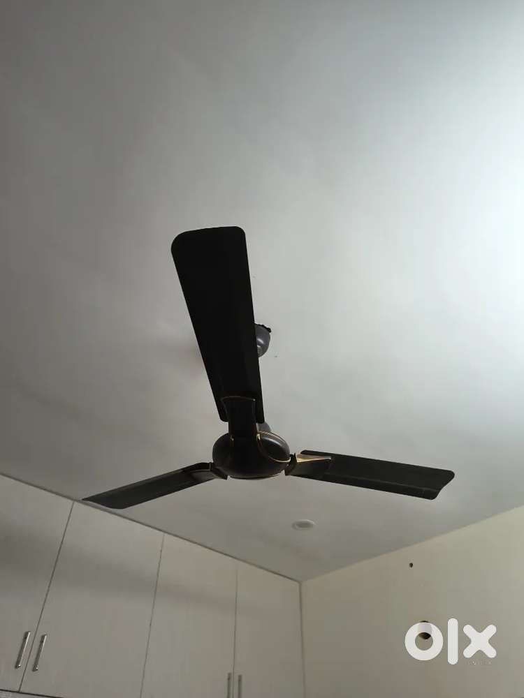Ceiling Fan